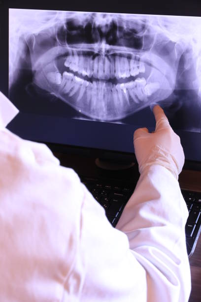 Best Emergency X-Rays and Diagnostics in Newport, WA