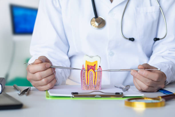 Best Emergency Pediatric Dental Care in Newport, WA